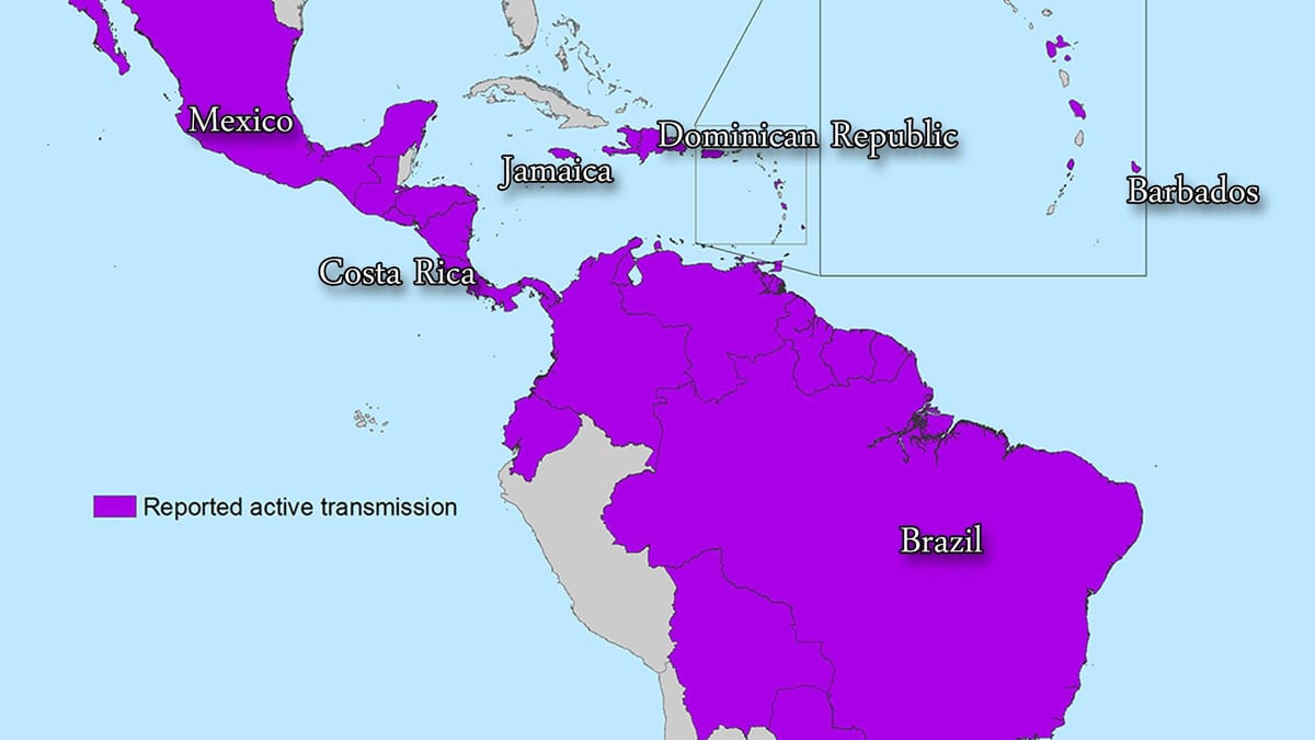 Peta jamaica zika