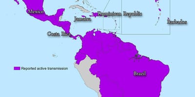Peta jamaica zika